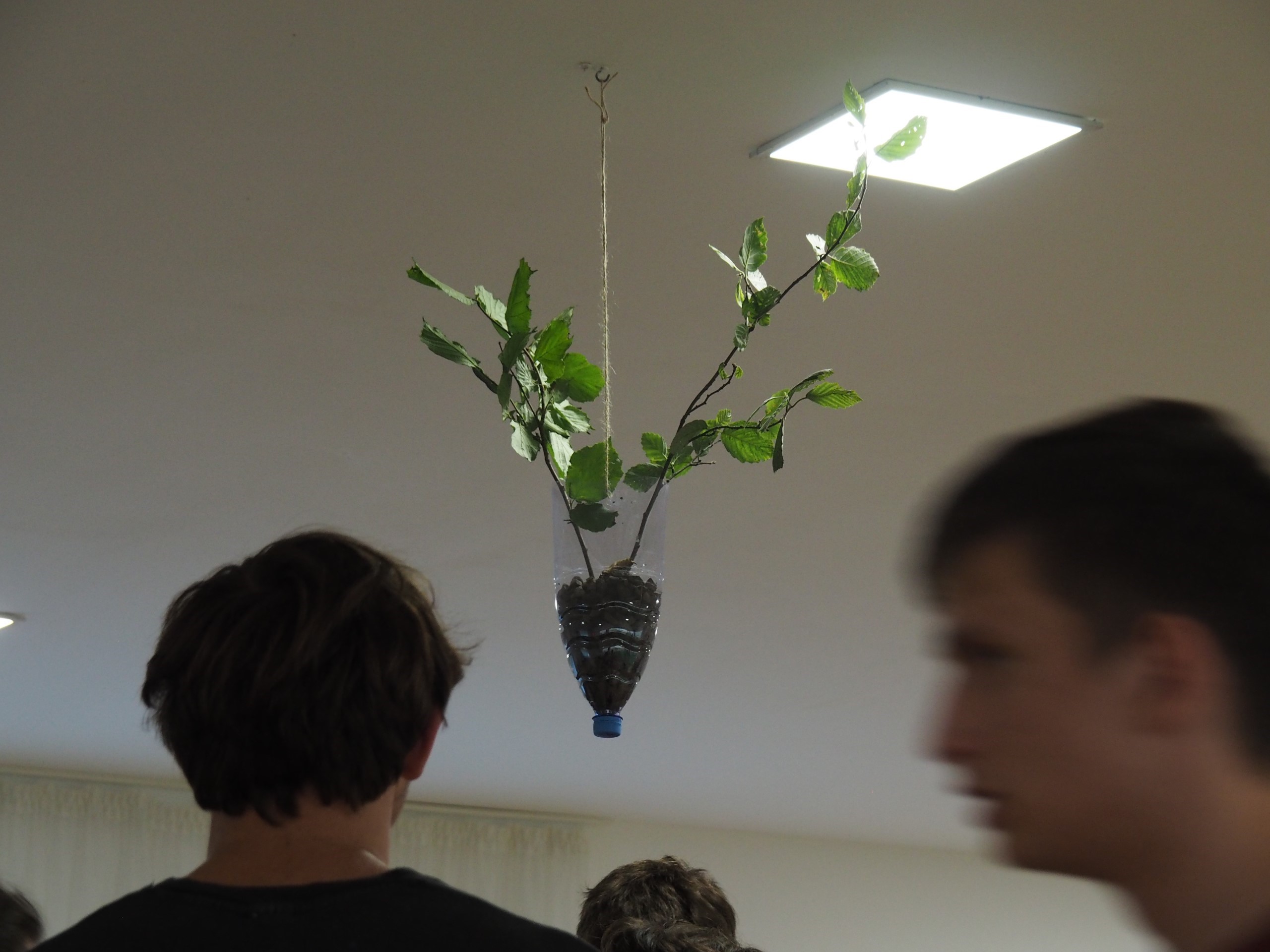 My Visual Journey Across Cultures