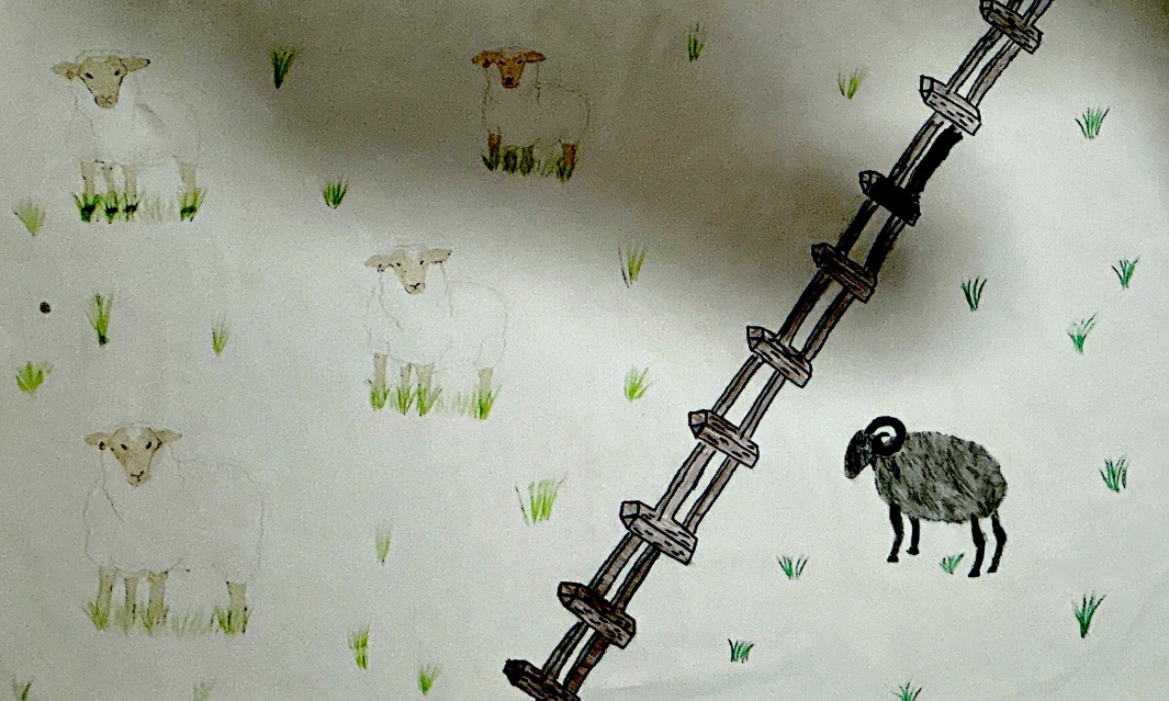 My Visual Journey Across Cultures media