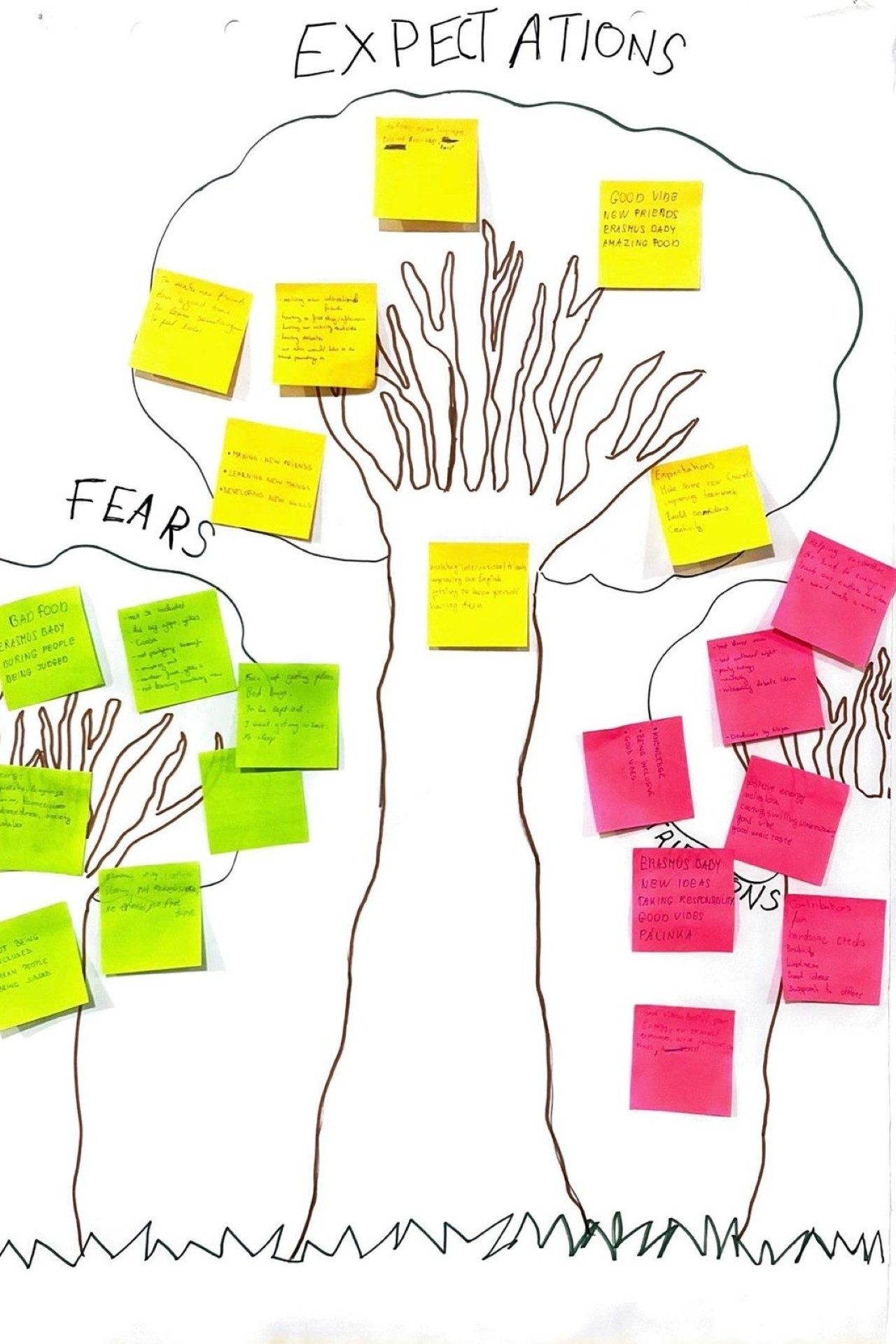 Fears Expectations and Contributions