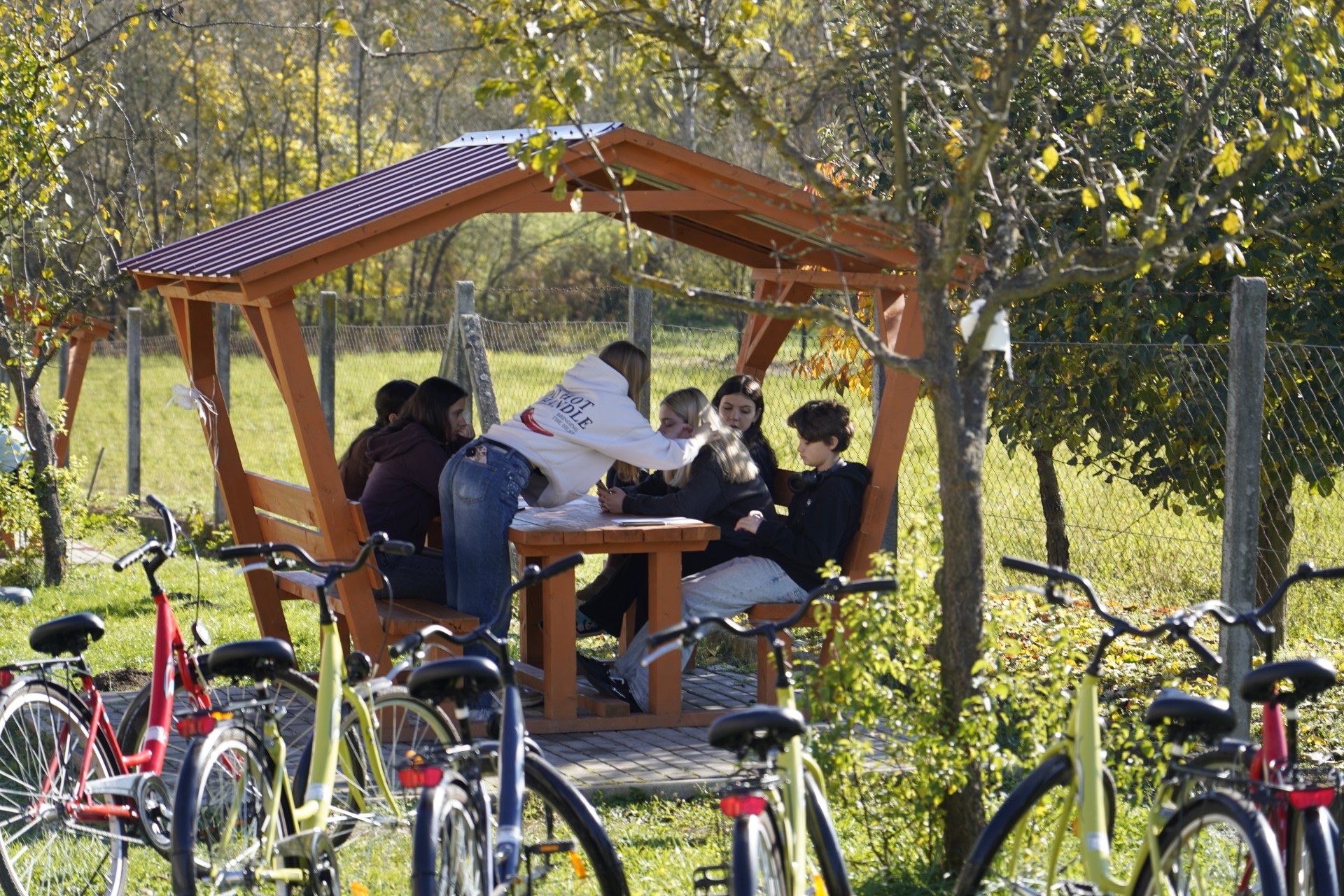 Blooming Connections ACC0010