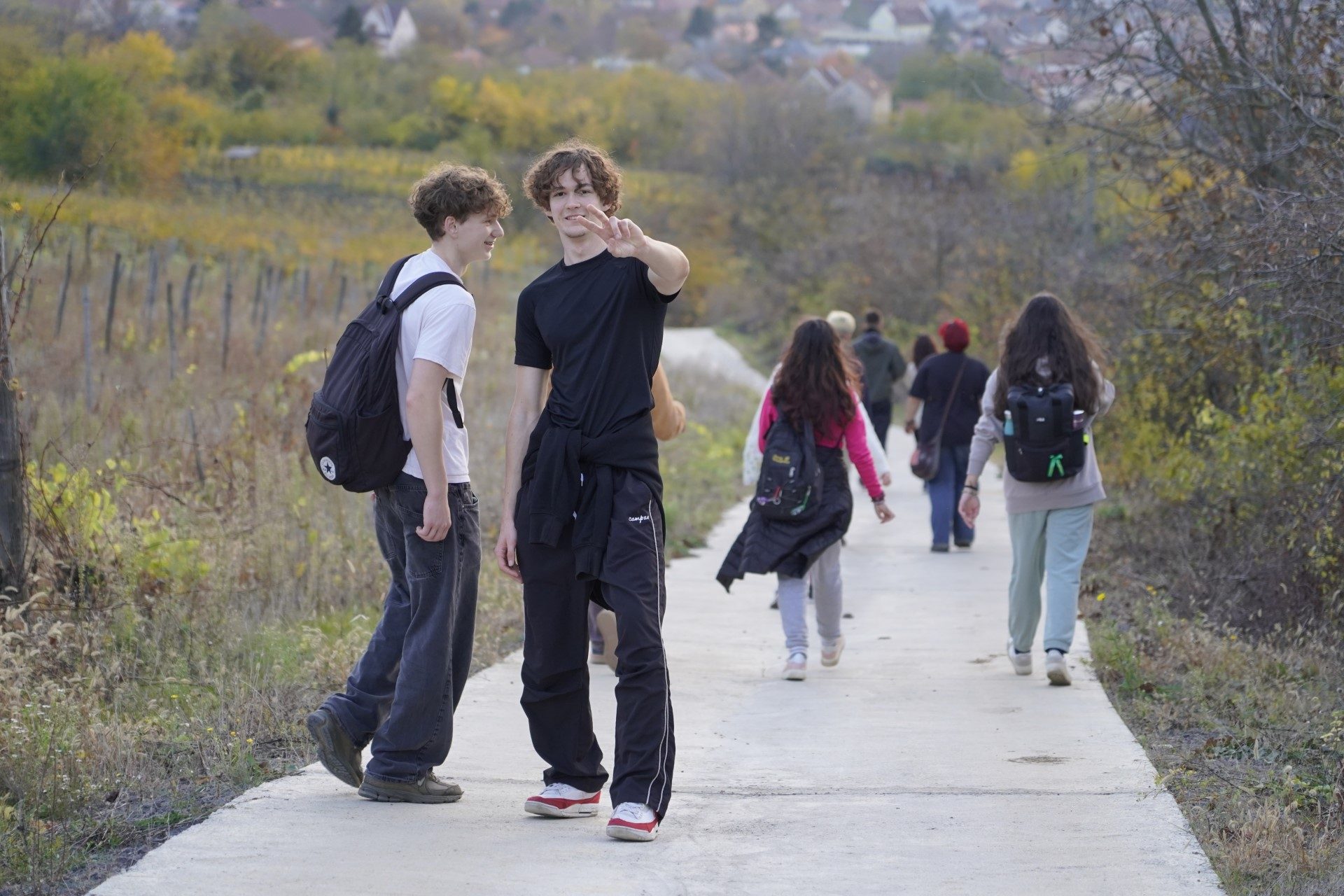 Blooming Connections ACC1956