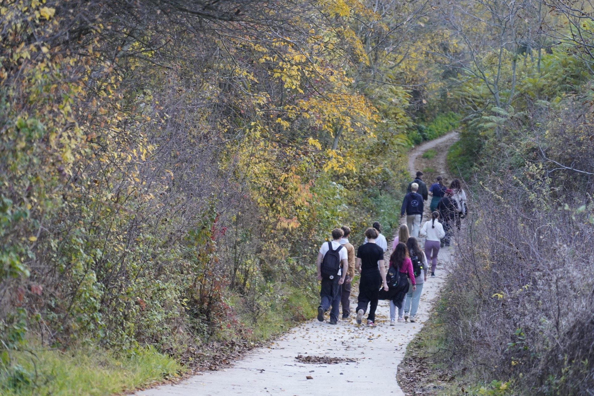 Blooming Connections ACC1967