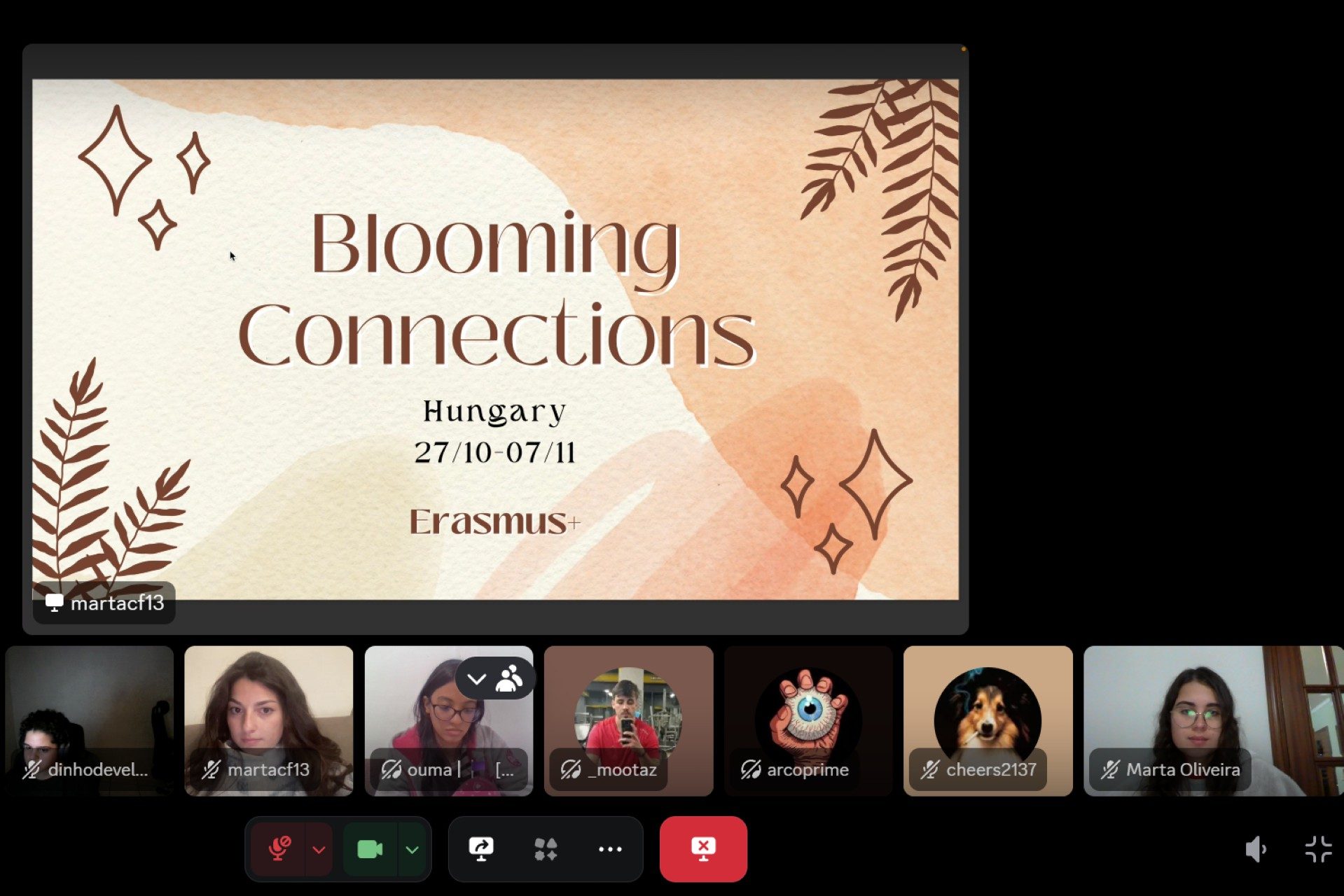 PT Videocallviadiscord Marta Vieira Saraiva De Oliveira