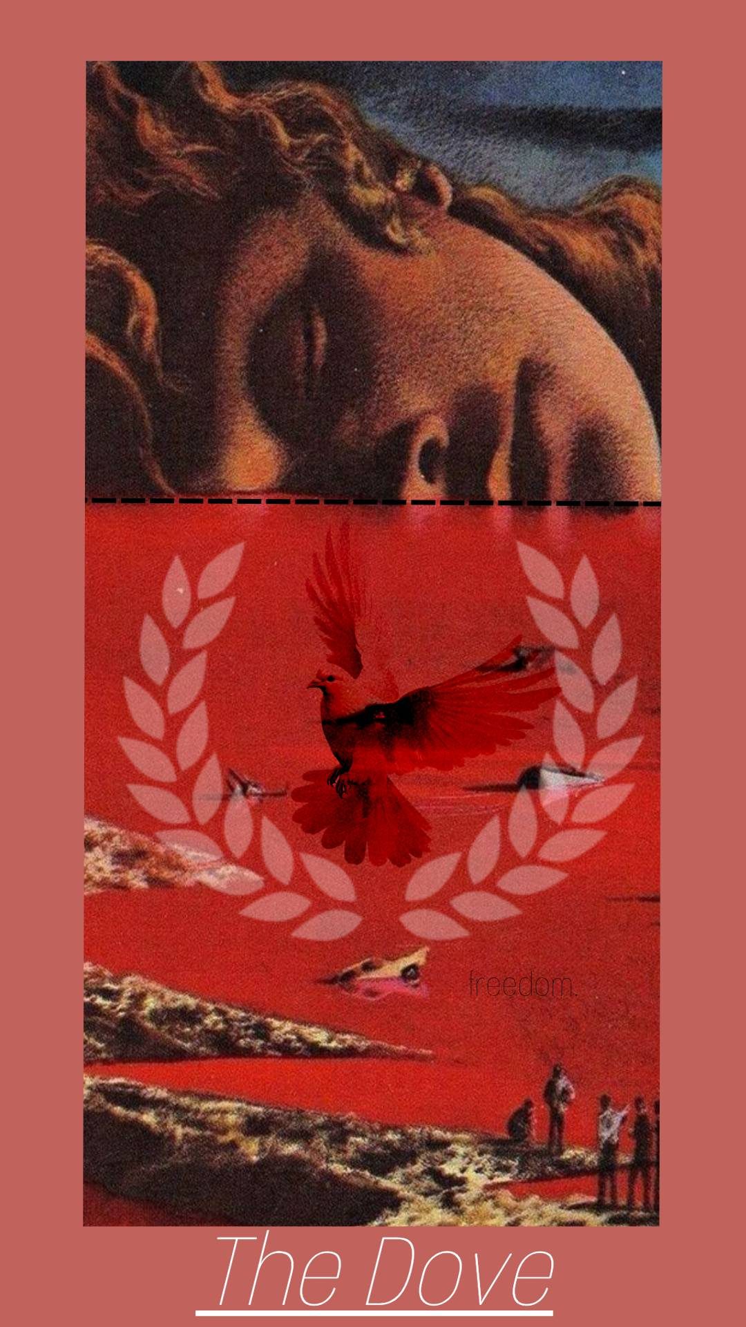 EC PAXOUTPUTS Tarrot