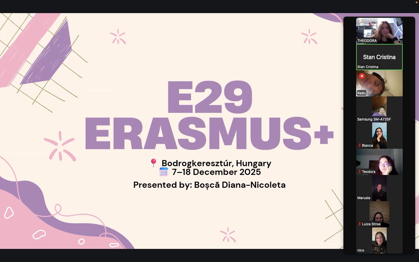 RO online zoomplatform Diana Nicoleta Bosca1