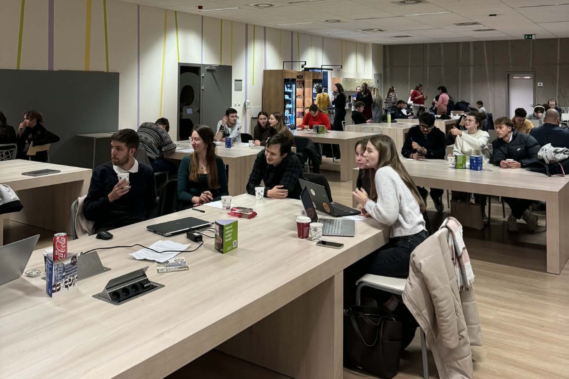 CZ Mendel Universityin Brno Klara Cupakova