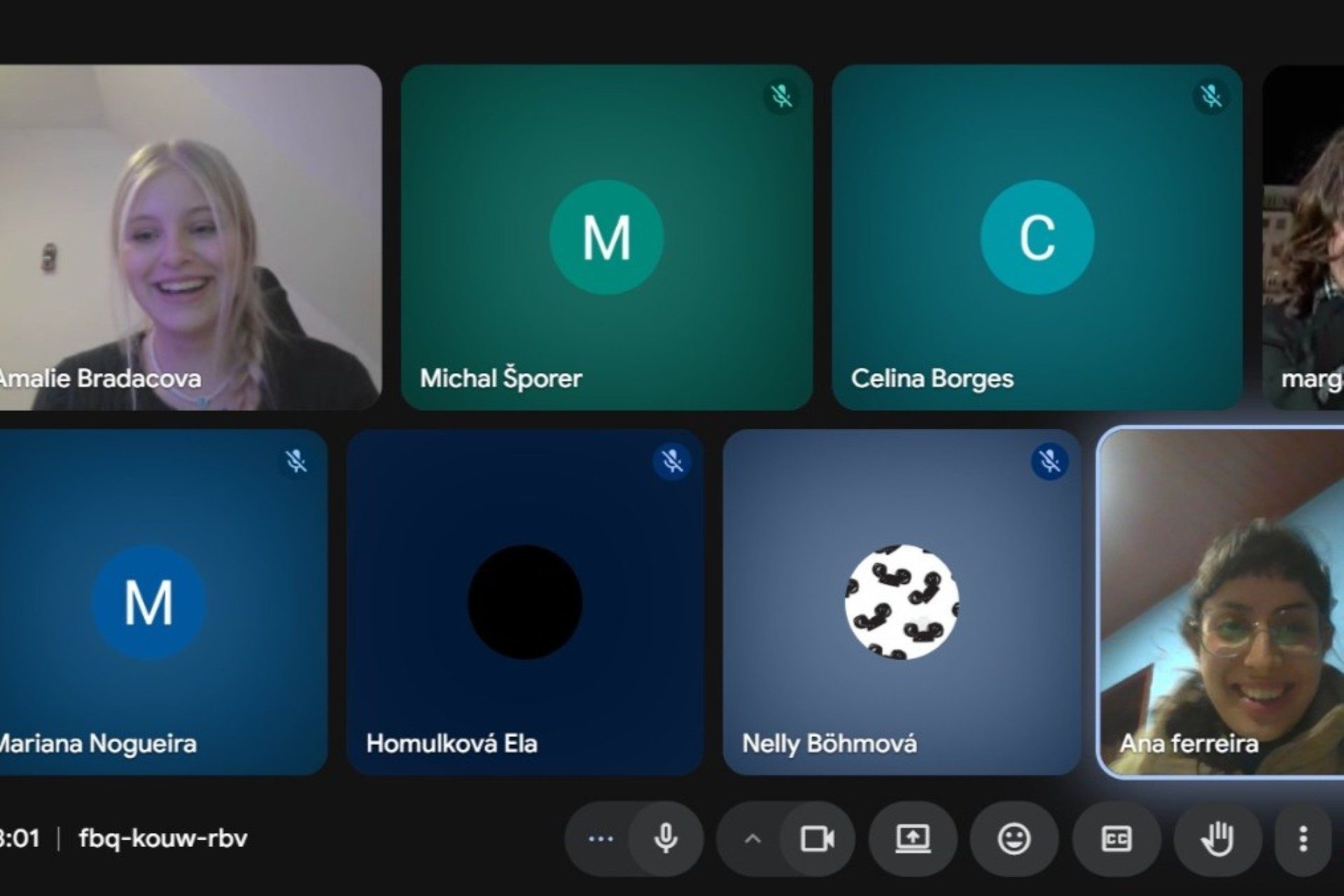 CZ onlineworshop presentation Amalie Bradacova